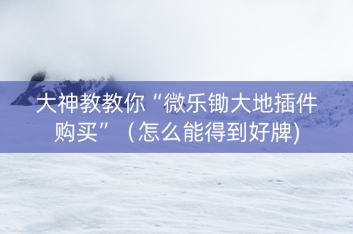 大神教教你“微乐锄大地插件购买”（怎么能得到好牌)