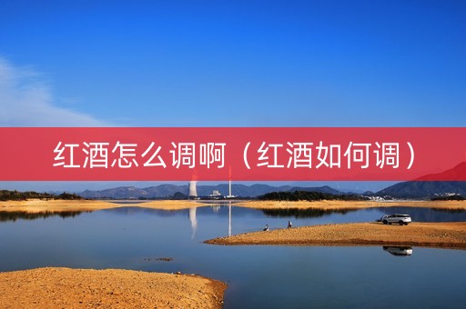 红酒怎么调啊（红酒如何调）