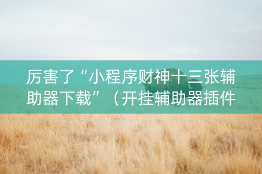 厉害了“小程序财神十三张辅助器下载”（开挂辅助器插件)
