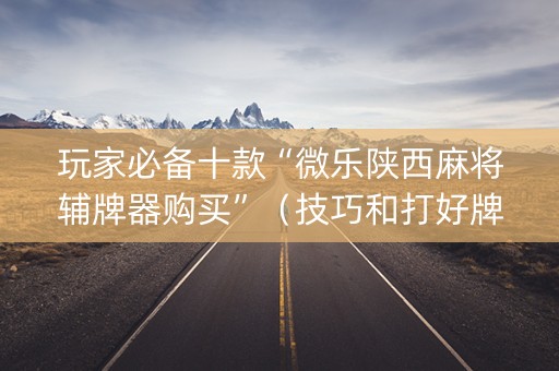 玩家必备十款“微乐陕西麻将辅牌器购买”（技巧和打好牌方法)