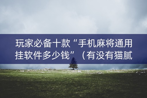 玩家必备十款“手机麻将通用挂软件多少钱”（有没有猫腻)