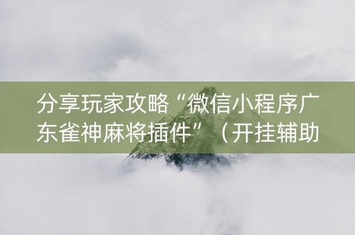 分享玩家攻略“微信小程序广东雀神麻将插件”（开挂辅助器脚本)