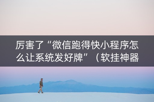 厉害了“微信跑得快小程序怎么让系统发好牌”（软挂神器)