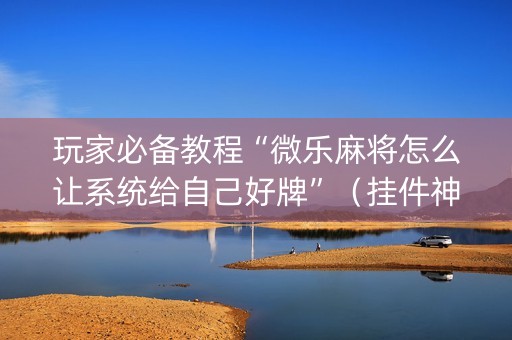 玩家必备教程“微乐麻将怎么让系统给自己好牌”（挂件神器)