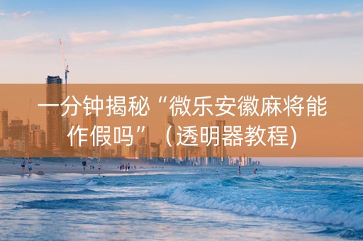 一分钟揭秘“微乐安徽麻将能作假吗”（透明器教程)