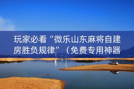 玩家必看“微乐山东麻将自建房胜负规律”（免费专用神器)