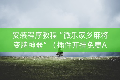 安装程序教程“微乐家乡麻将变牌神器”（插件开挂免费AI)