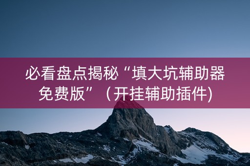 必看盘点揭秘“填大坑辅助器免费版”（开挂辅助插件)