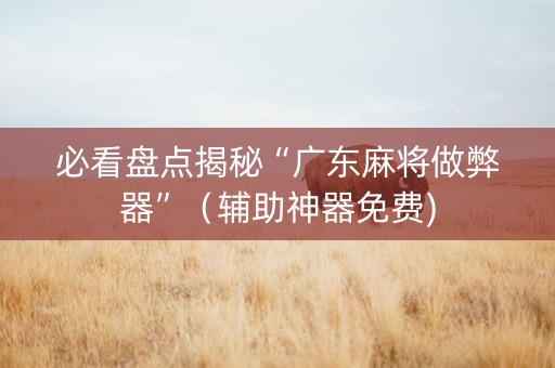 必看盘点揭秘“广东麻将做弊器”（辅助神器免费)