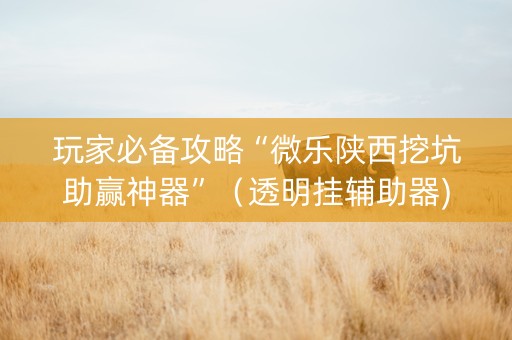 玩家必备攻略“微乐陕西挖坑助赢神器”（透明挂辅助器)