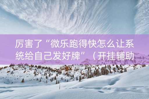 厉害了“微乐跑得快怎么让系统给自己发好牌”（开挂辅助器脚本)