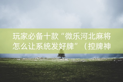 玩家必备十款“微乐河北麻将怎么让系统发好牌”（控牌神器)