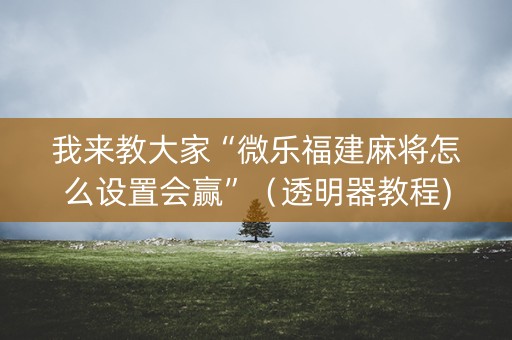 我来教大家“微乐福建麻将怎么设置会赢”（透明器教程)
