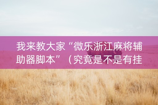 我来教大家“微乐浙江麻将辅助器脚本”（究竟是不是有挂)