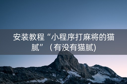安装教程“小程序打麻将的猫腻”（有没有猫腻)