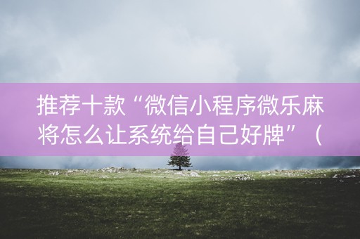 推荐十款“微信小程序微乐麻将怎么让系统给自己好牌”（辅牌器插件购买)