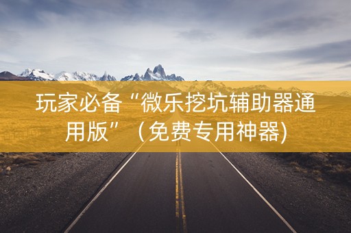 玩家必备“微乐挖坑辅助器通用版”（免费专用神器)