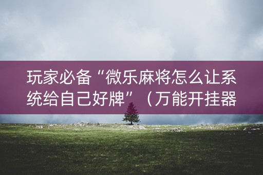 玩家必备“微乐麻将怎么让系统给自己好牌”（万能开挂器)