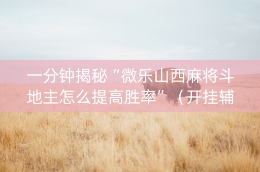 一分钟揭秘“微乐山西麻将斗地主怎么提高胜率”（开挂辅助插件)