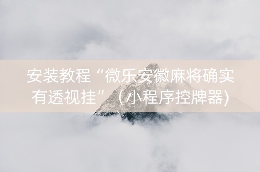 安装教程“微乐安徽麻将确实有透视挂”（小程序控牌器)