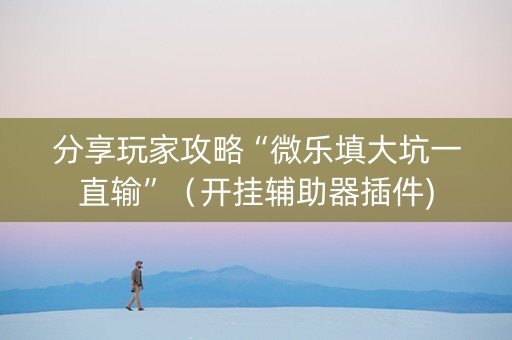 分享玩家攻略“微乐填大坑一直输”（开挂辅助器插件)