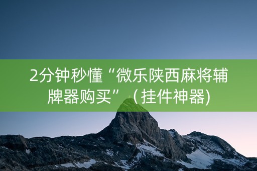 2分钟秒懂“微乐陕西麻将辅牌器购买”（挂件神器)