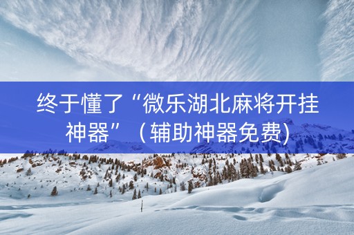 终于懂了“微乐湖北麻将开挂神器”（辅助神器免费)