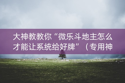 大神教教你“微乐斗地主怎么才能让系统给好牌”（专用神器)