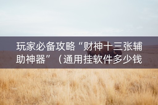 玩家必备攻略“财神十三张辅助神器”（通用挂软件多少钱)