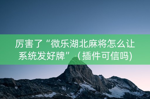 厉害了“微乐湖北麻将怎么让系统发好牌”（插件可信吗)