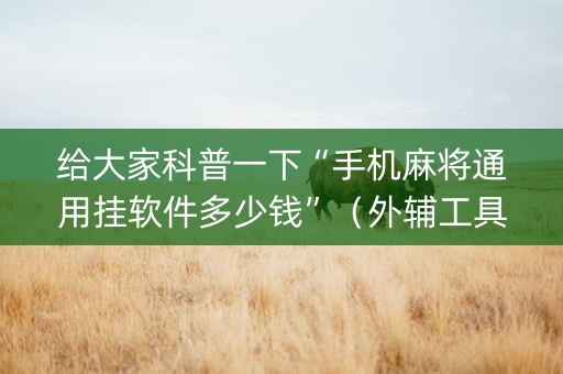 给大家科普一下“手机麻将通用挂软件多少钱”（外辅工具)