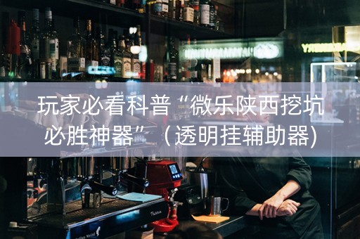玩家必看科普“微乐陕西挖坑必胜神器”（透明挂辅助器)