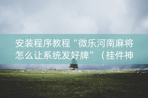 安装程序教程“微乐河南麻将怎么让系统发好牌”（挂件神器)