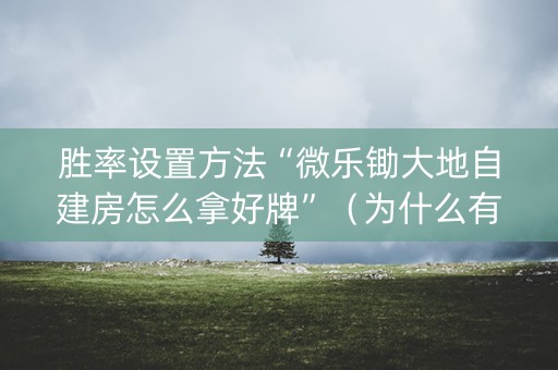胜率设置方法“微乐锄大地自建房怎么拿好牌”（为什么有人一直赢)