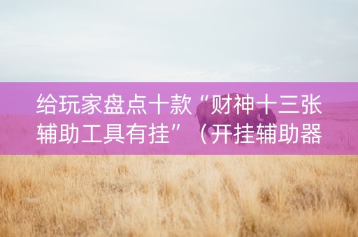 给玩家盘点十款“财神十三张辅助工具有挂”（开挂辅助器脚本)