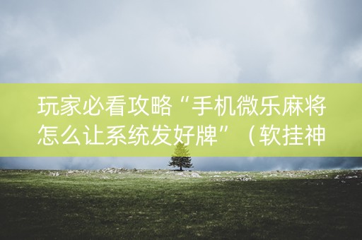 玩家必看攻略“手机微乐麻将怎么让系统发好牌”（软挂神器)