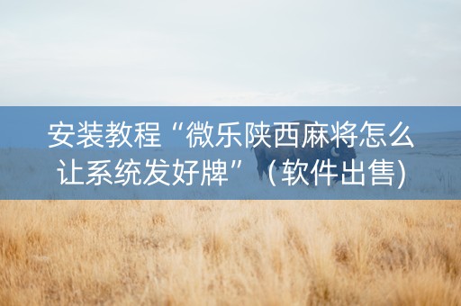 安装教程“微乐陕西麻将怎么让系统发好牌”（软件出售)