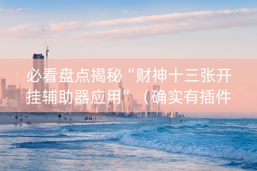 必看盘点揭秘“财神十三张开挂辅助器应用”（确实有插件吗)