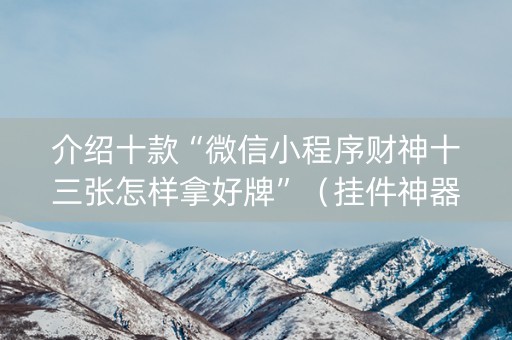 介绍十款“微信小程序财神十三张怎样拿好牌”（挂件神器)