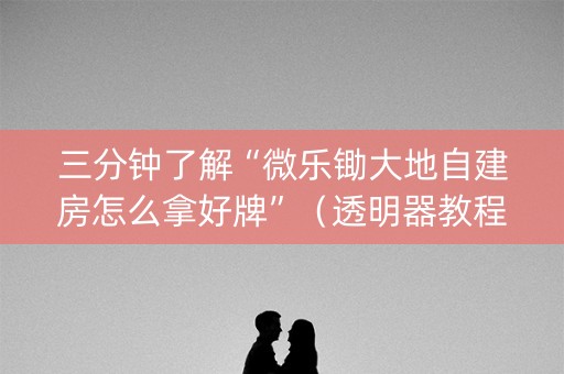 三分钟了解“微乐锄大地自建房怎么拿好牌”（透明器教程)
