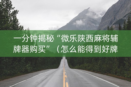 一分钟揭秘“微乐陕西麻将辅牌器购买”（怎么能得到好牌)
