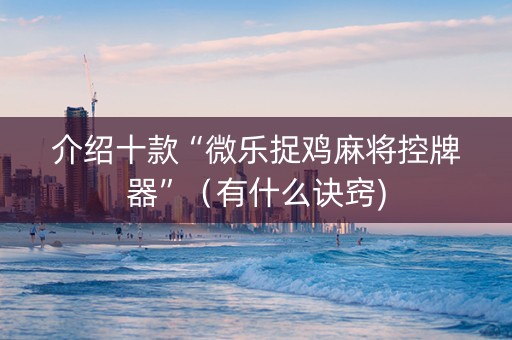 介绍十款“微乐捉鸡麻将控牌器”（有什么诀窍)