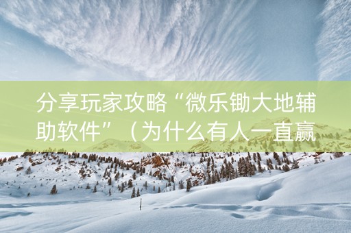分享玩家攻略“微乐锄大地辅助软件”（为什么有人一直赢)