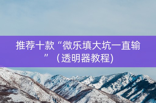 推荐十款“微乐填大坑一直输”（透明器教程)