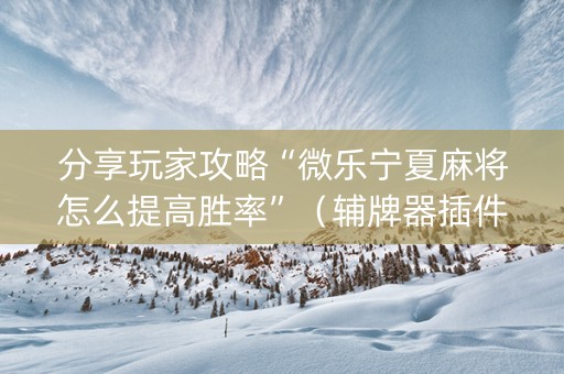 分享玩家攻略“微乐宁夏麻将怎么提高胜率”（辅牌器插件购买)