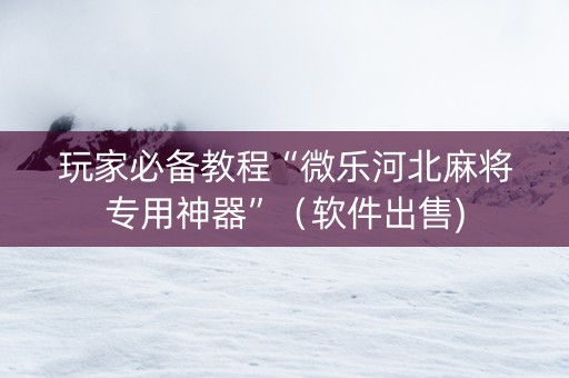 玩家必备教程“微乐河北麻将专用神器”（软件出售)