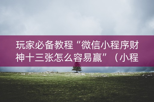 玩家必备教程“微信小程序财神十三张怎么容易赢”（小程序怎么才会赢)