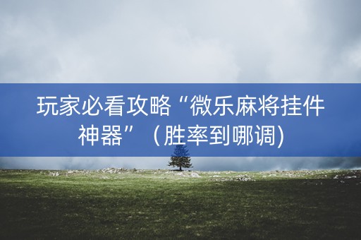 玩家必看攻略“微乐麻将挂件神器”（胜率到哪调)