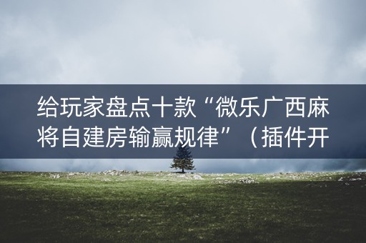 给玩家盘点十款“微乐广西麻将自建房输赢规律”（插件开挂免费AI)