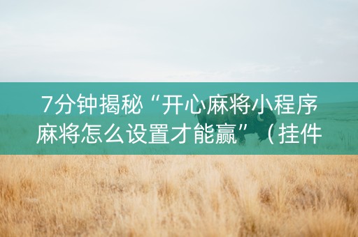 7分钟揭秘“开心麻将小程序麻将怎么设置才能赢”（挂件神器)